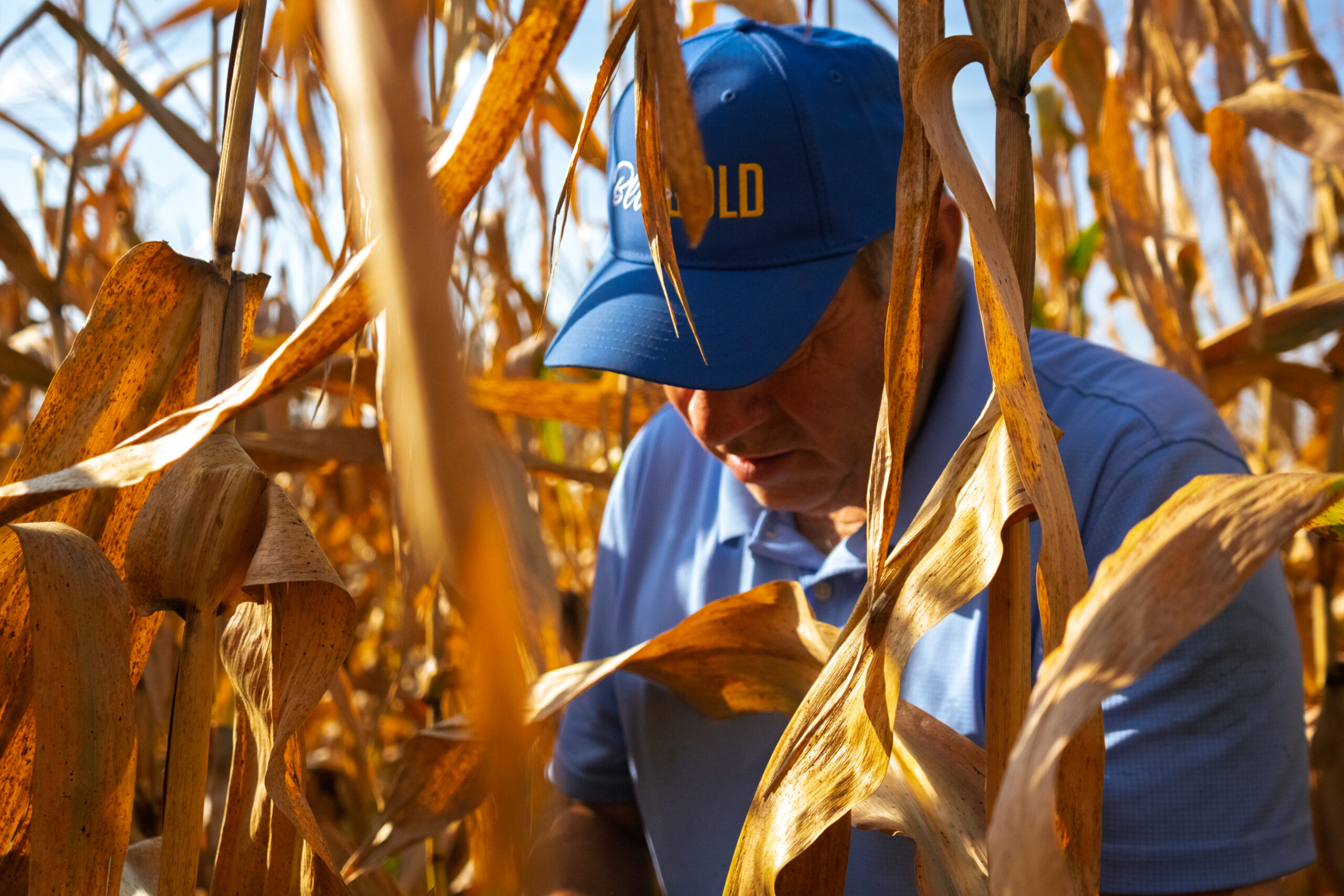 Regen Iowa: Cultivating a Visual Brand for Regenerative Agriculture